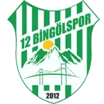 ตรา 12 Bingolspor