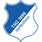 ตรา 1899 Hoffenheim