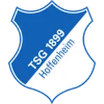 ตรา Hoffenheim II